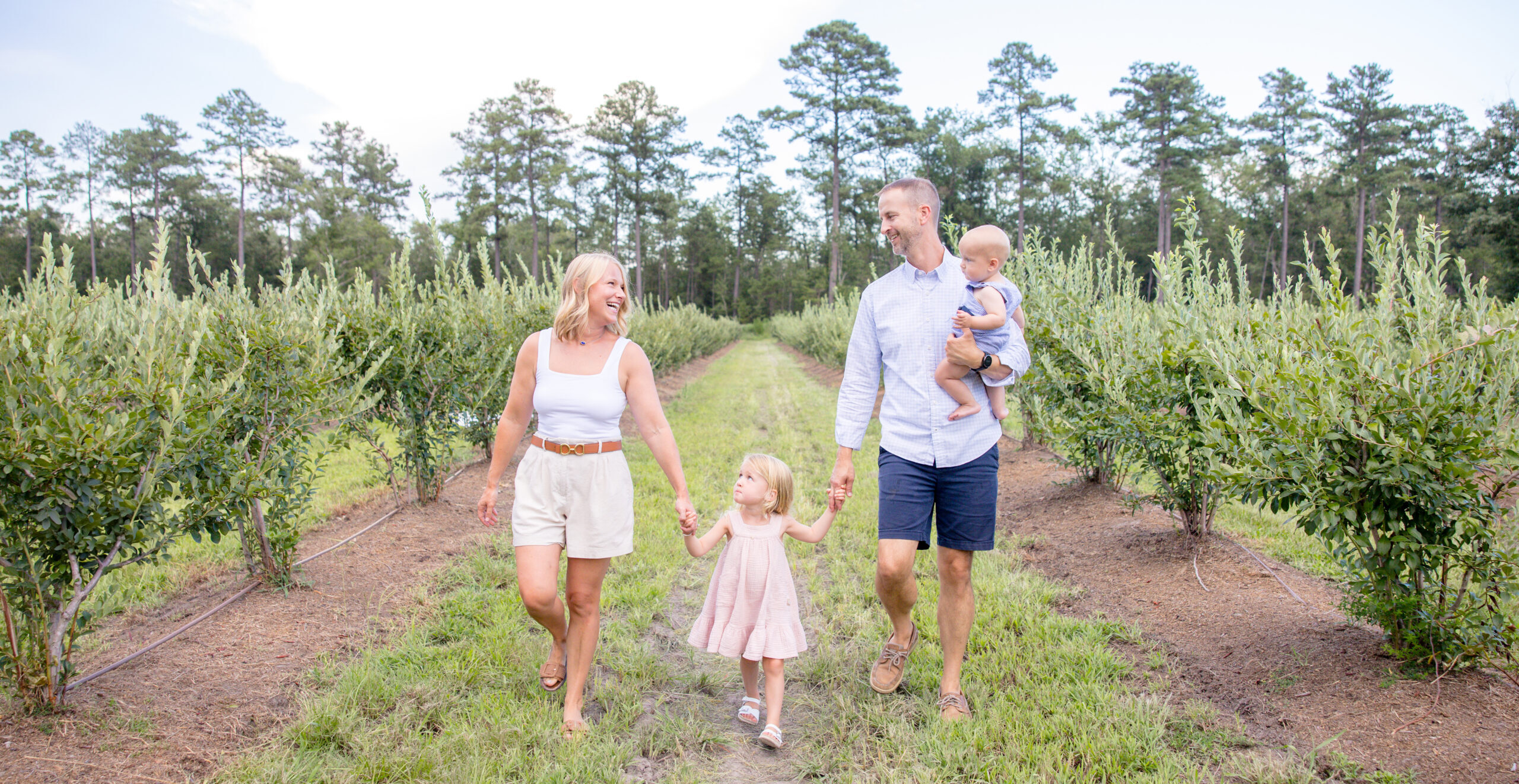 Lively Grove Farms photo 26